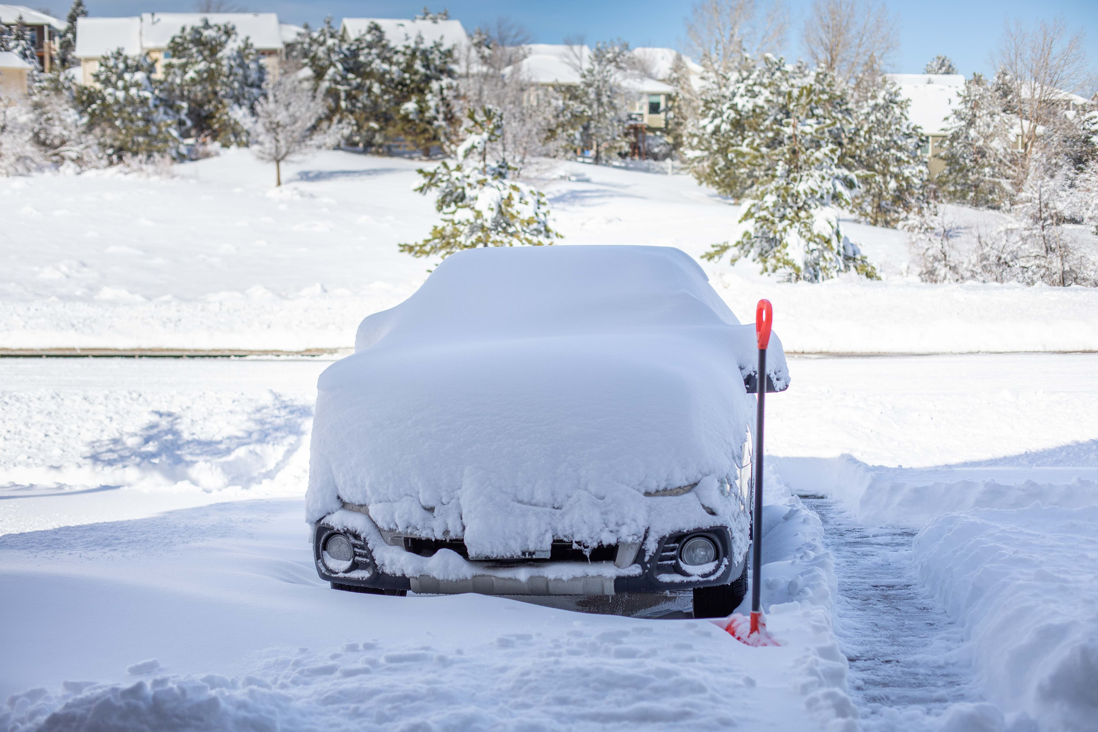 Collection of Snow MOOver snow brushes and ice scrapers displayed together